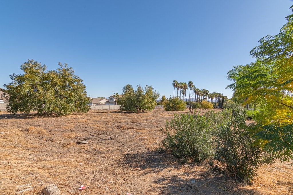 MLS #SW25154570 image #12