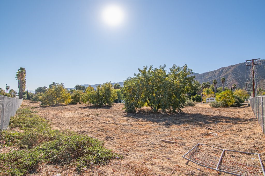 MLS #SW25154570 image #13