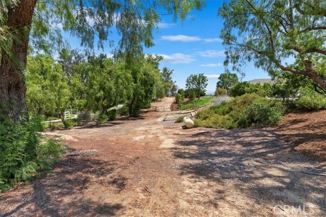 MLS #SW25154917 image #47