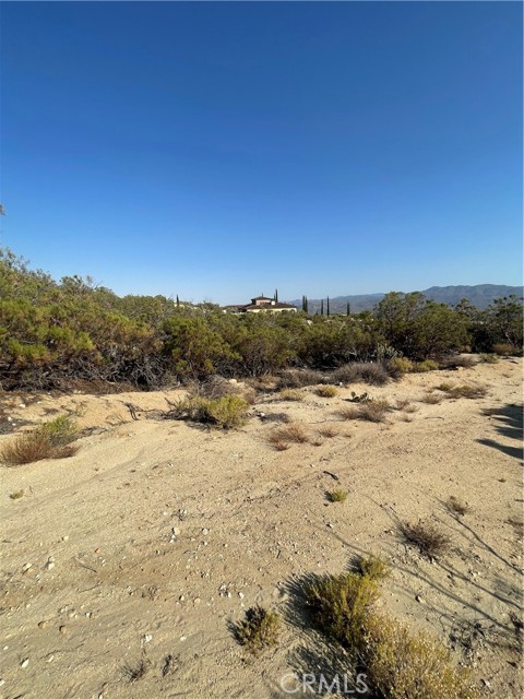 MLS #SW25155078 image #2