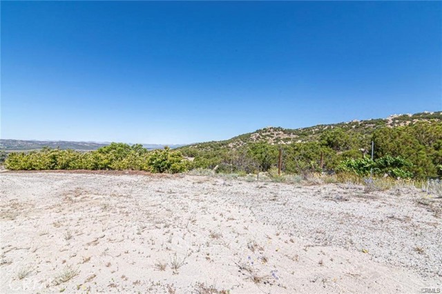 MLS #SW25155078 image #3