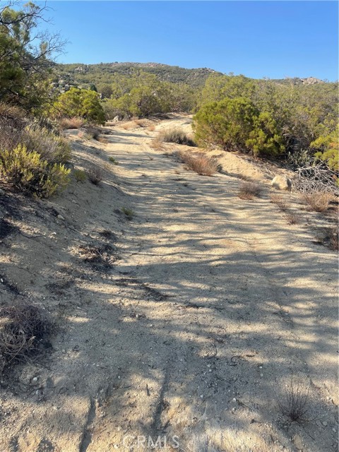 MLS #SW25155078 image #4