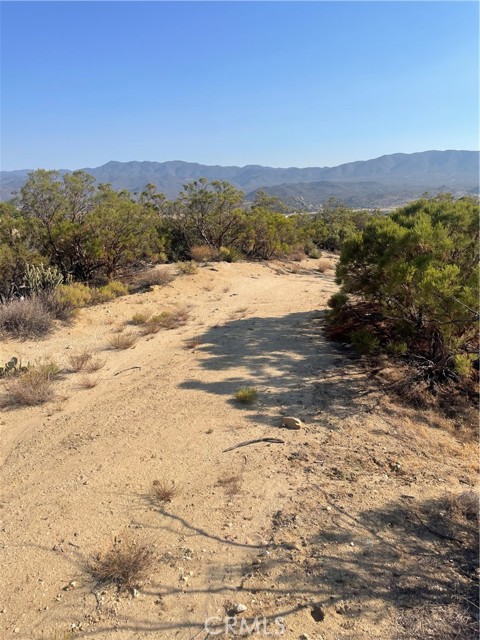 MLS #SW25155078 image #5