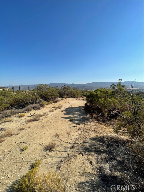 MLS #SW25155078 image #7