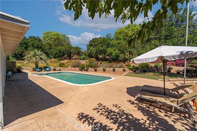 MLS #SW25156349 image #46