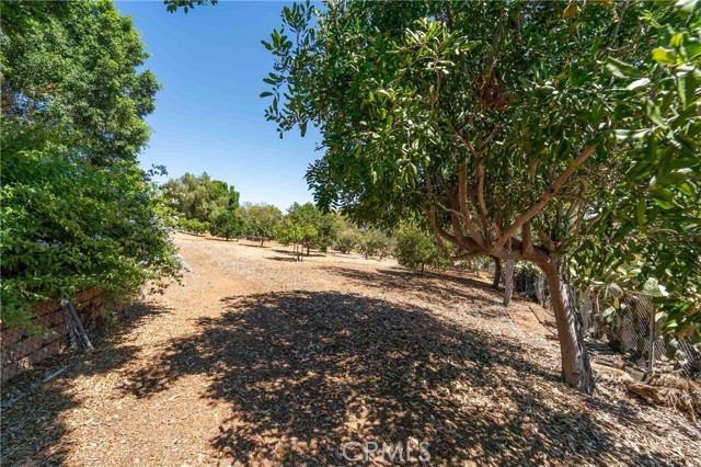 MLS #SW25156349 image #61