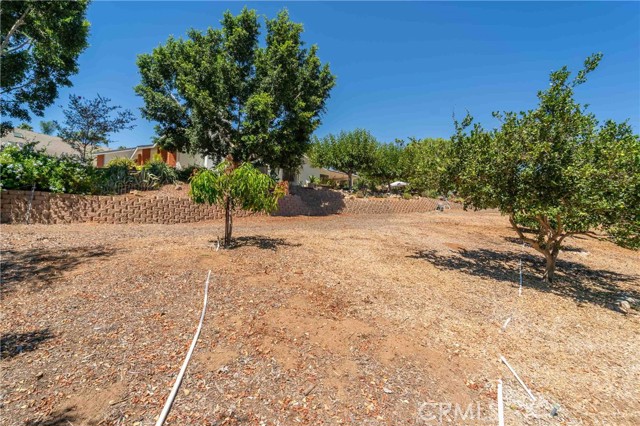 MLS #SW25156349 image #63