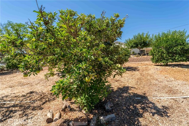 MLS #SW25156349 image #64