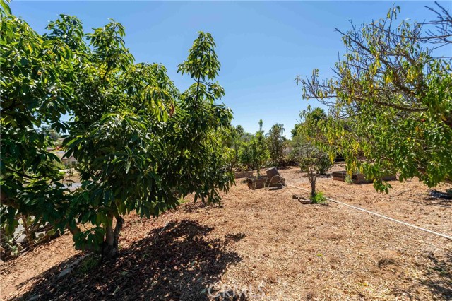 MLS #SW25156349 image #65