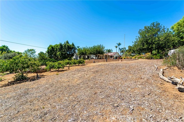 MLS #SW25156349 image #66