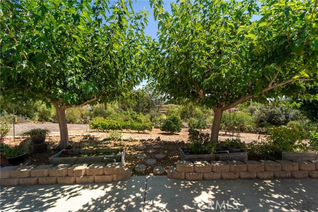 MLS #SW25156349 image #67