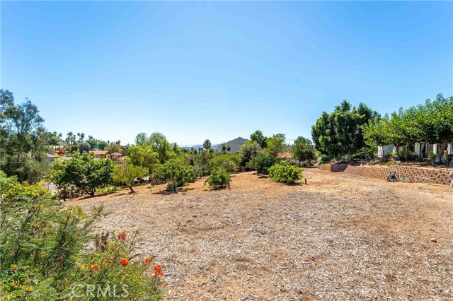 MLS #SW25156349 image #68