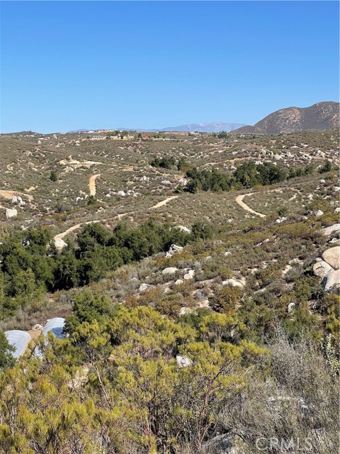MLS #SW25156782 image #15