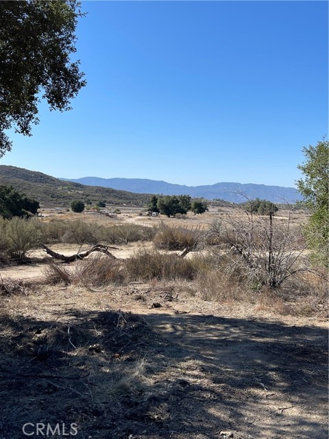MLS #SW25156782 image #6