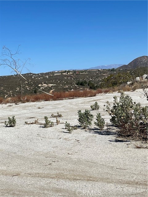 MLS #SW25156782 image #7
