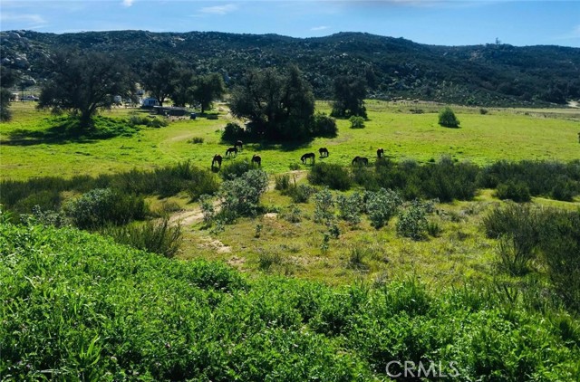 MLS #SW25156795 image #0
