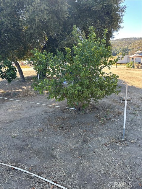 MLS #SW25156795 image #12