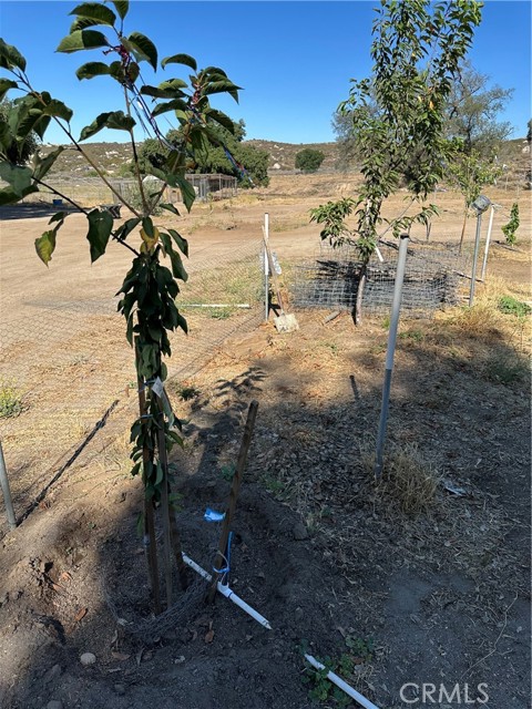 MLS #SW25156795 image #13