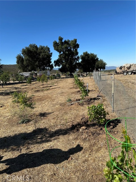 MLS #SW25156795 image #14