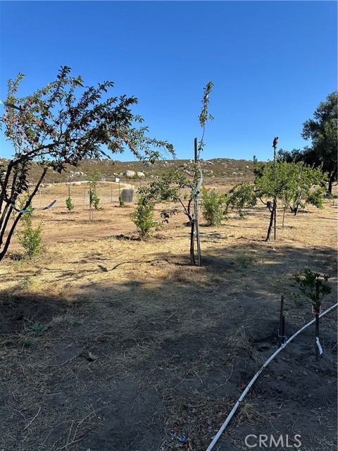 MLS #SW25156795 image #15