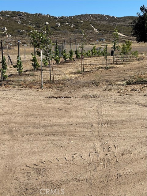 MLS #SW25156795 image #16
