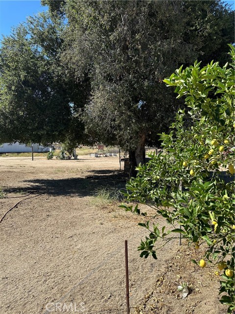 MLS #SW25156795 image #20