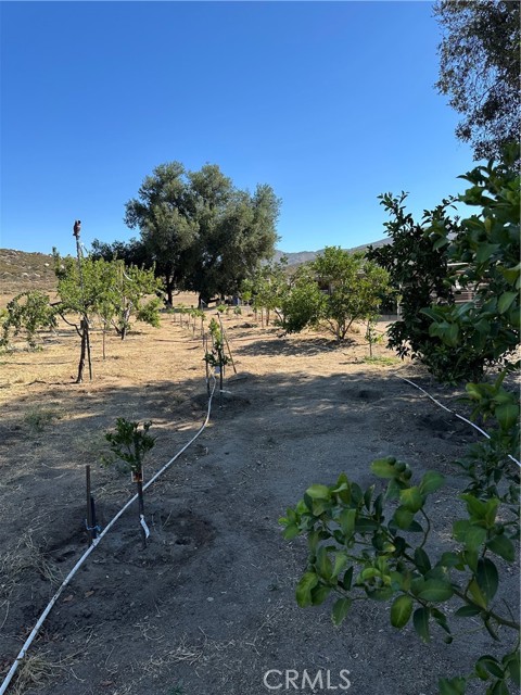 MLS #SW25156795 image #21