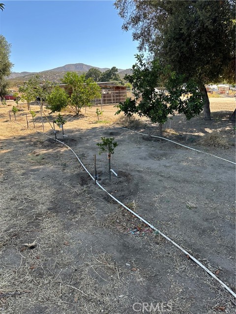 MLS #SW25156795 image #22