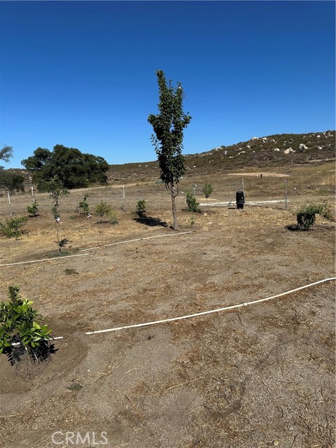 MLS #SW25156795 image #23