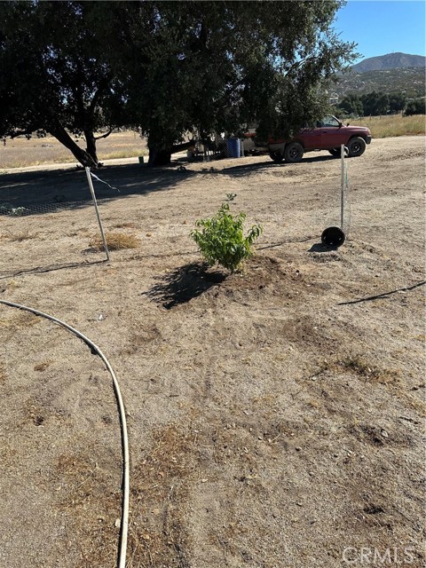 MLS #SW25156795 image #24