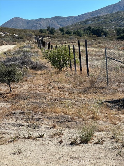 MLS #SW25156795 image #28