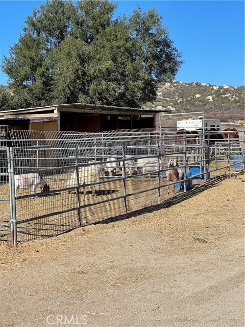 MLS #SW25156795 image #31
