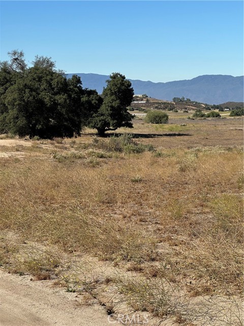 MLS #SW25156795 image #35