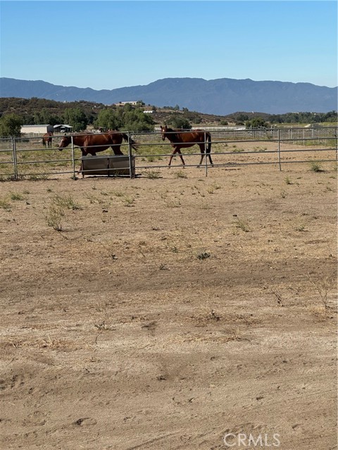 MLS #SW25156795 image #41