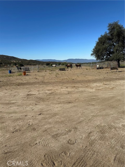 MLS #SW25156795 image #44