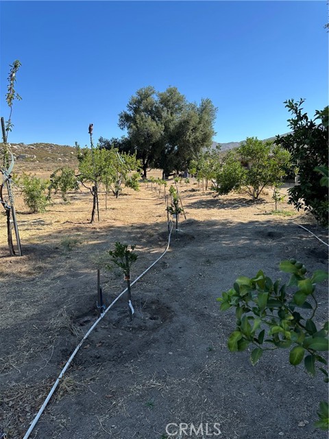 MLS #SW25156795 image #5