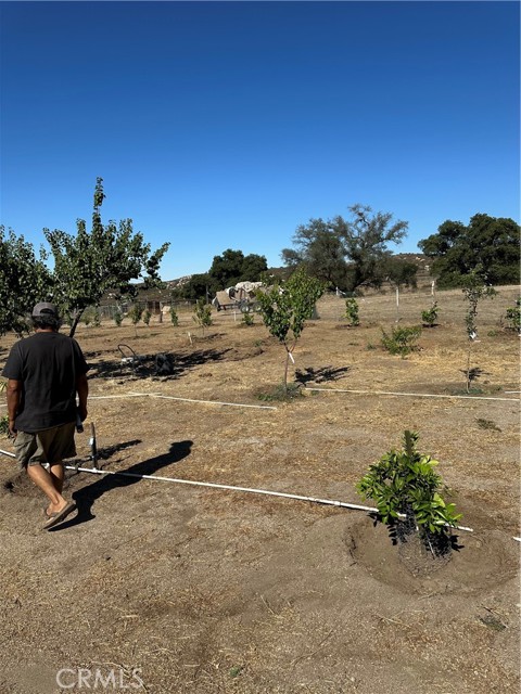 MLS #SW25156795 image #7