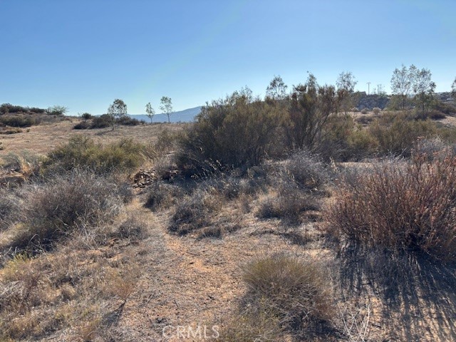 MLS #SW25158323 image #1