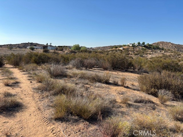 MLS #SW25158323 image #3