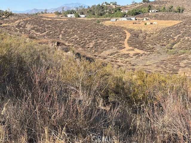 MLS #SW25158323 image #6