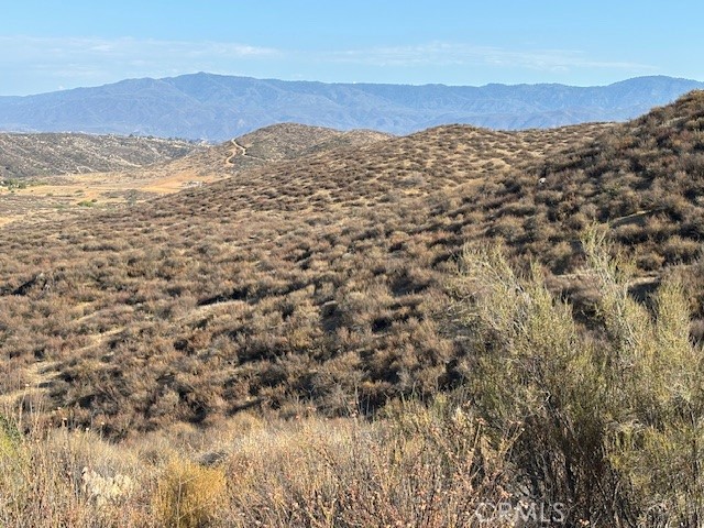 MLS #SW25158323 image #8