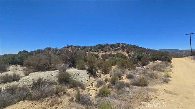 MLS #SW25159346 image #11