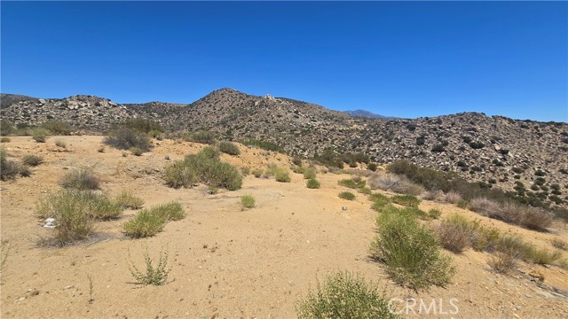 MLS #SW25159346 image #12