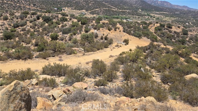 MLS #SW25159346 image #13