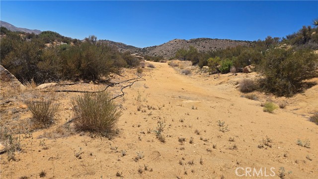 MLS #SW25159346 image #14