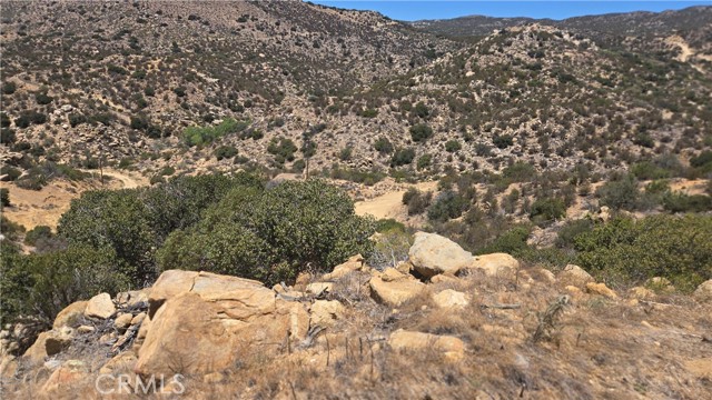 MLS #SW25159346 image #15