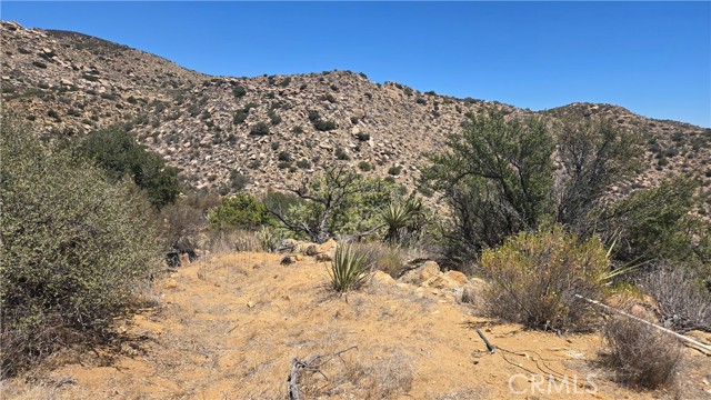 MLS #SW25159346 image #18