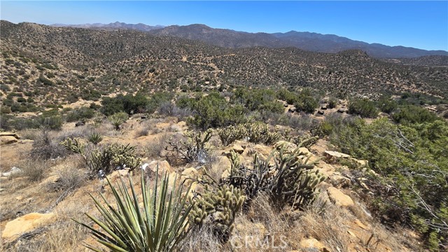 MLS #SW25159346 image #19