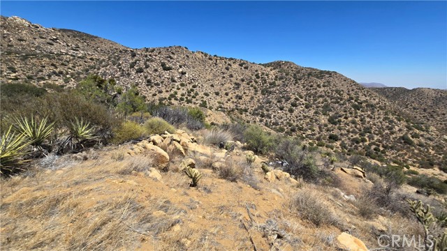 MLS #SW25159346 image #20