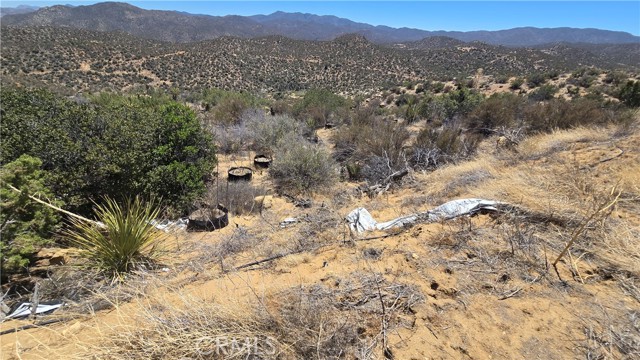MLS #SW25159346 image #21